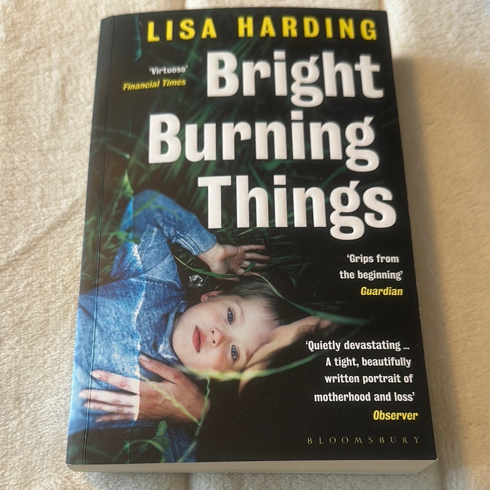 🧚‍♀️3/$12🧚‍♀️Psychological. Bright Burning Things novel